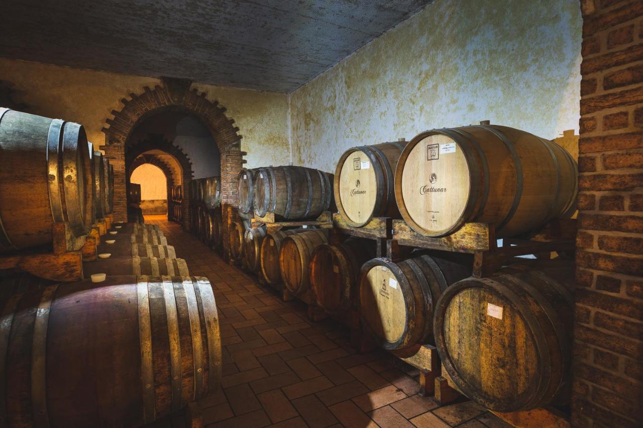 Wine Residence Cattunar Brtonigla Luaran gambar