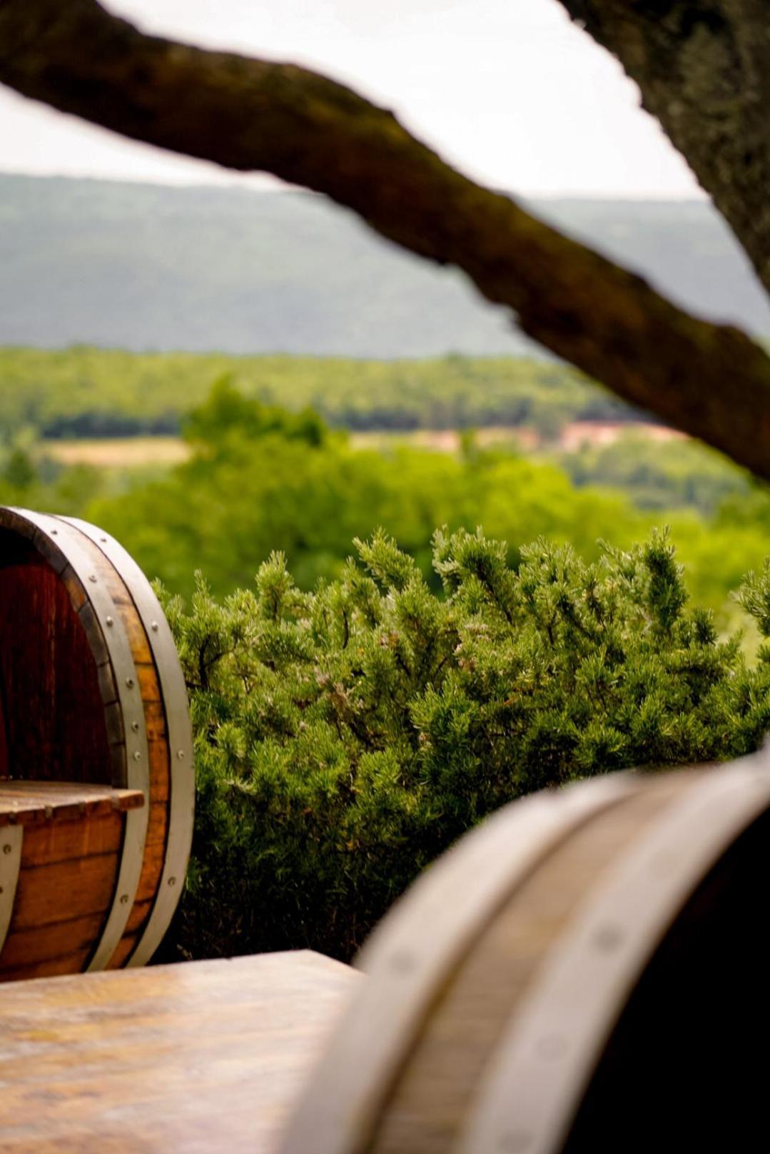 Wine Residence Cattunar Brtonigla Luaran gambar