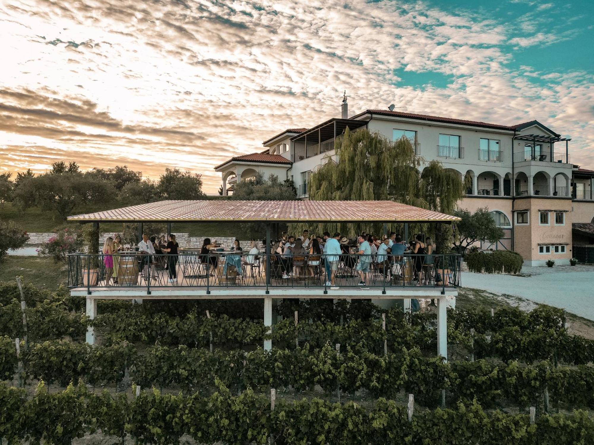 Wine Residence Cattunar Brtonigla Luaran gambar